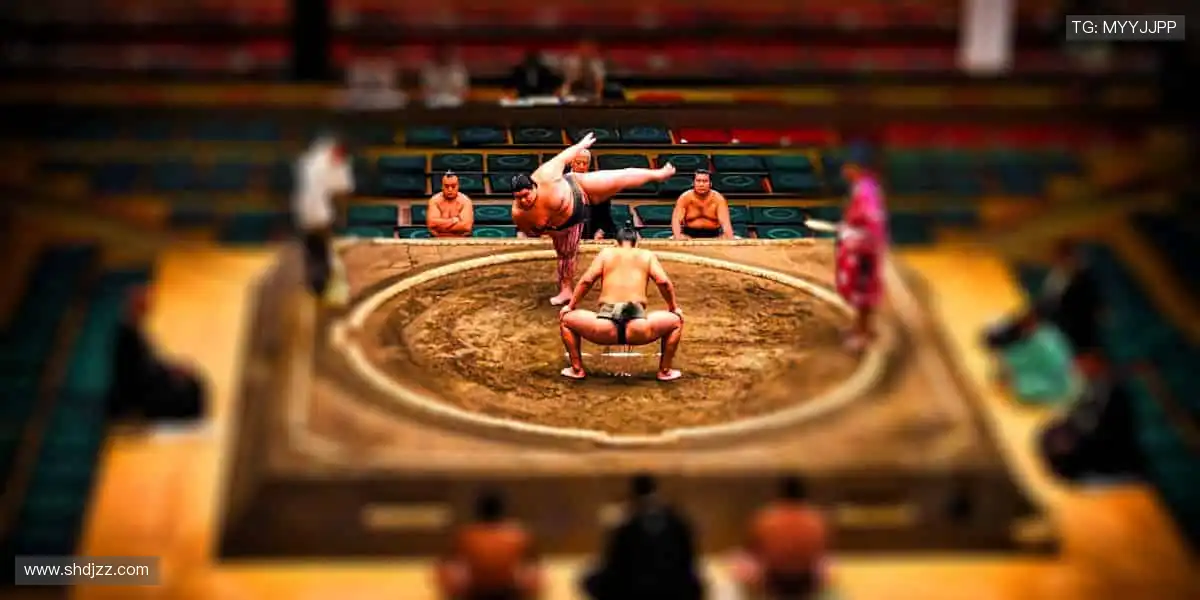 从训练场到直播间，你的热爱全程在线！📱